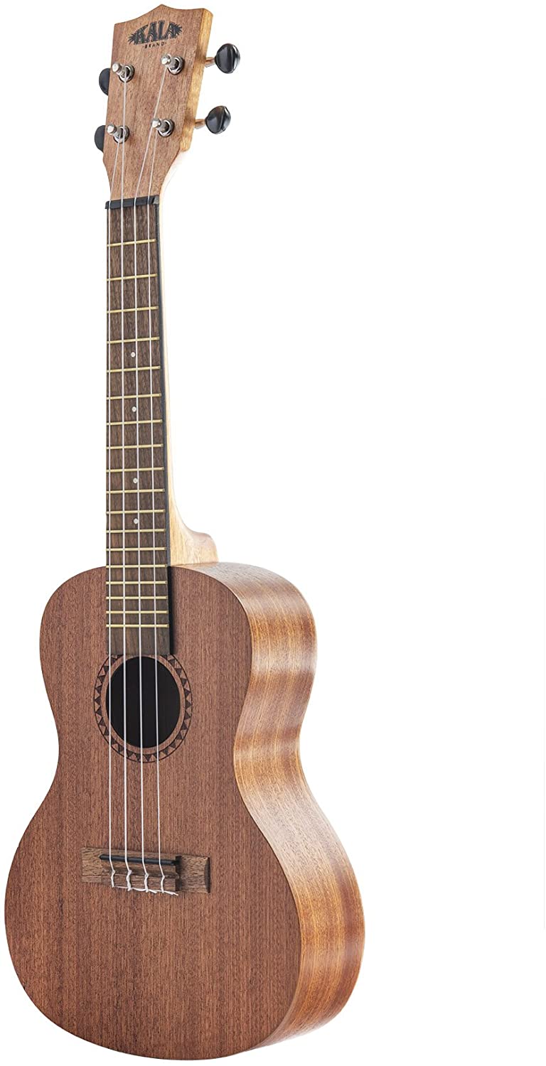 Kala LTP-C Learn to Play Ukulele Concert Starter Kit