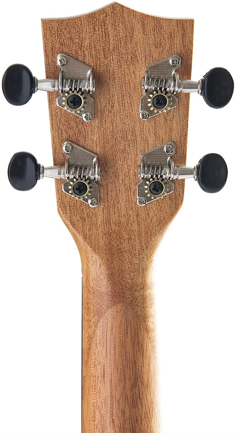 Kala LTP-C Learn to Play Ukulele Concert Starter Kit